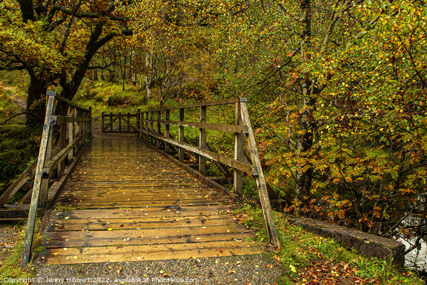 Bridge crossing river in Glen Nevis in autumn  Picture Board by Jenny Hibbert