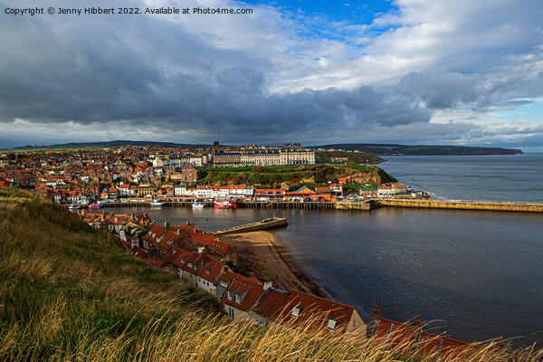 Looking across to Whitby harbour  Picture Board by Jenny Hibbert