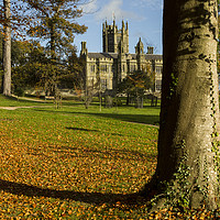 Buy canvas prints of Margam Castle at autumn time by Jenny Hibbert