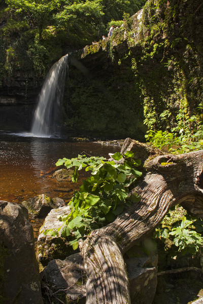 Scwd Gwladys Waterfall Picture Board by Jenny Hibbert