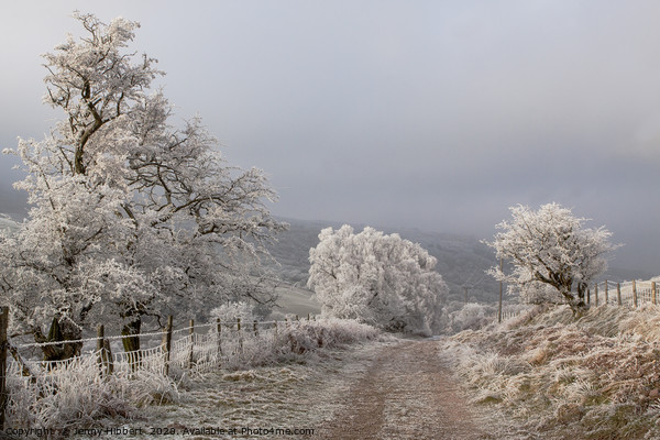Drovers way on a very wintery morning Picture Board by Jenny Hibbert