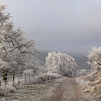 Buy canvas prints of Drovers way on a very wintery morning by Jenny Hibbert