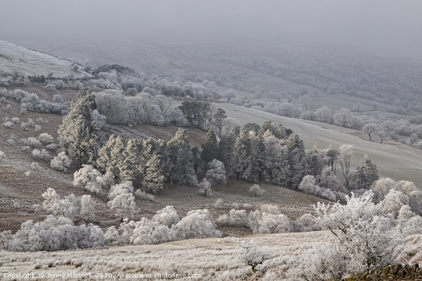 View of a frosty landscape Brecon beacons Wales Picture Board by Jenny Hibbert