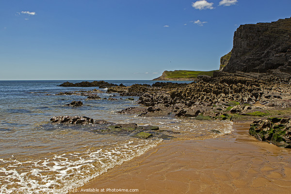 Mewslade Bay Beach Gower Picture Board by Jenny Hibbert