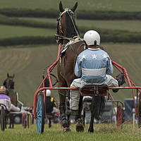 Buy canvas prints of Harness racing by Jenny Hibbert