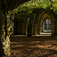 Buy canvas prints of Margam ruins in Country park by Jenny Hibbert