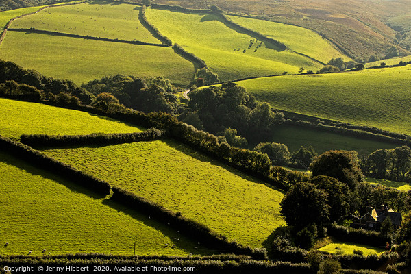 Looking across a fieldscape Picture Board by Jenny Hibbert