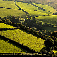 Buy canvas prints of Looking across a fieldscape by Jenny Hibbert