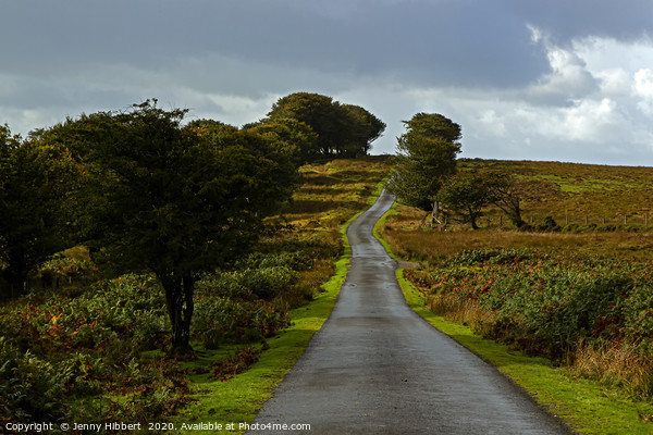 After the rain on long road Exmoor Picture Board by Jenny Hibbert