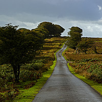 Buy canvas prints of After the rain on long road Exmoor by Jenny Hibbert