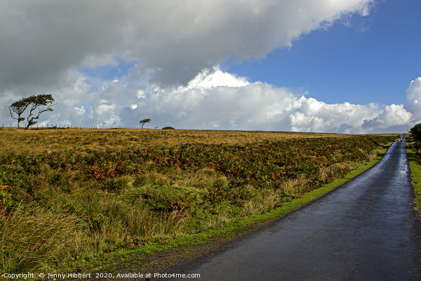 The long long road after the rain in Exmoor Picture Board by Jenny Hibbert
