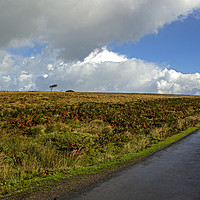 Buy canvas prints of The long long road after the rain in Exmoor by Jenny Hibbert