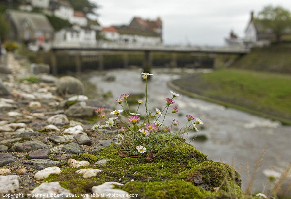 Flowers on the wall with Lynmouth harbour  Picture Board by Jenny Hibbert