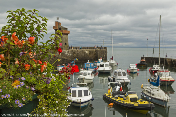 Lynmouth Harbour Exmoor Somerset Picture Board by Jenny Hibbert