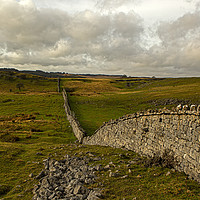 Buy canvas prints of Wall leading you through in Ystradfellte Wales by Jenny Hibbert