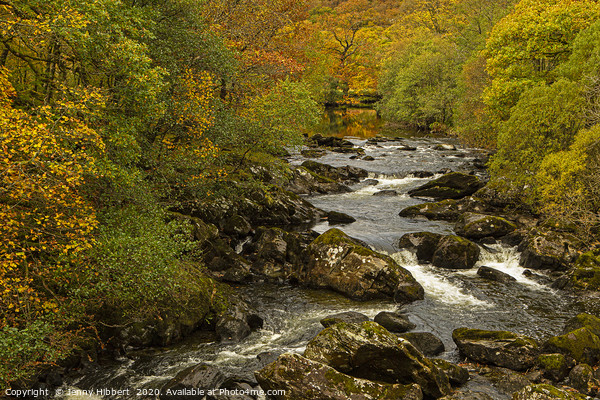 River flowing near to Capel Curig Conwy  Picture Board by Jenny Hibbert