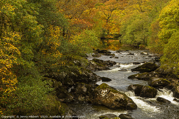 River near to Capel Curig at autumn time Picture Board by Jenny Hibbert