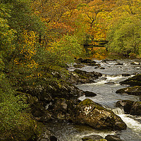 Buy canvas prints of River near to Capel Curig at autumn time by Jenny Hibbert