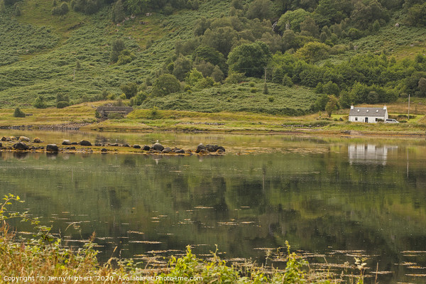 View across Loch Sunart Scotland Picture Board by Jenny Hibbert