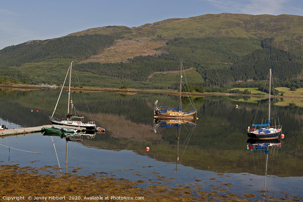 Loch Eil near to Fort William Scotland Picture Board by Jenny Hibbert