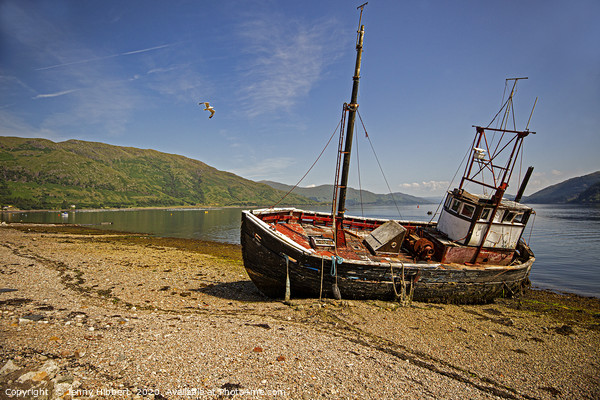 Abandoned boat in Ardgour Western Scotland Picture Board by Jenny Hibbert