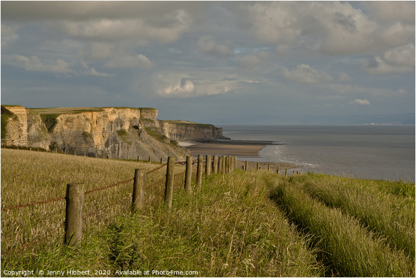 Looking across to Glamorgan Heritage coastline Fro Picture Board by Jenny Hibbert