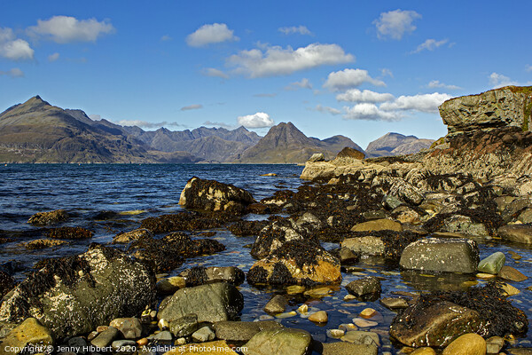 Elgol on the shores of Loch Scavaig Picture Board by Jenny Hibbert