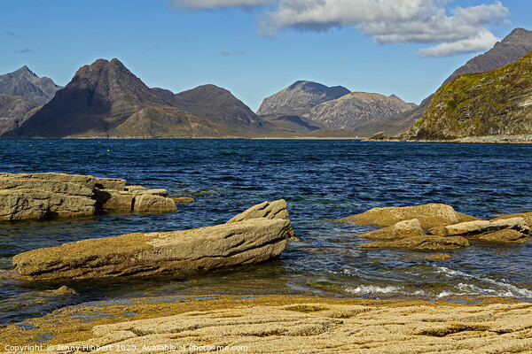 Cuillins from the Loch Scavaig in Elgol Picture Board by Jenny Hibbert