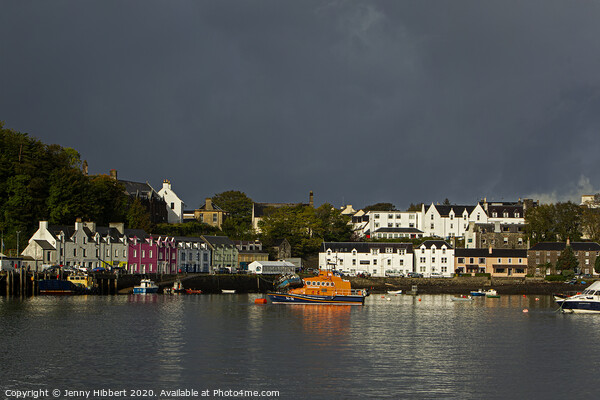 Portree Harbour, Isle of Skye Picture Board by Jenny Hibbert