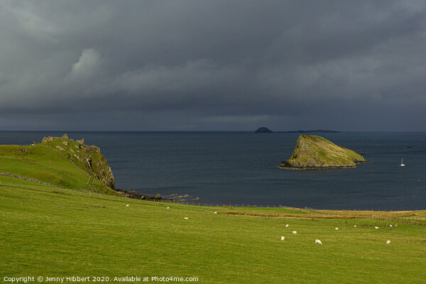 Duntulm Castle on the Isle of Skye Picture Board by Jenny Hibbert