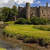 Buy canvas prints of Laugharne Castle in Carmarthenshire by Jenny Hibbert