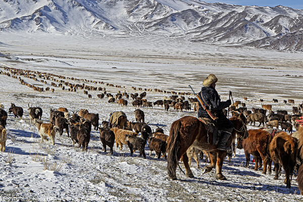 Kazakh nomad migrating with the livestock Mongolia Picture Board by Jenny Hibbert