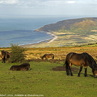 Buy canvas prints of Exmoor ponies looking towards Porlock bay, Somerset by Jenny Hibbert