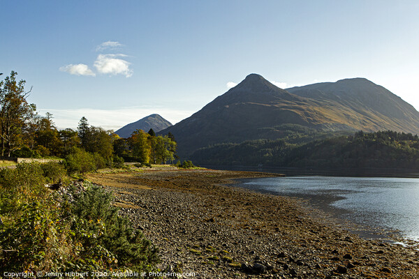 Loch Leven in the direction of Ballachulish Scotland Picture Board by Jenny Hibbert