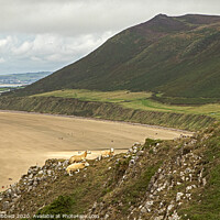 Buy canvas prints of Looking across Rhossili bay on the Gower Peninsular by Jenny Hibbert