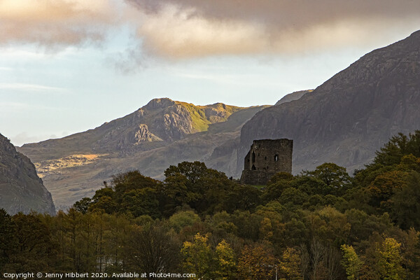 Dolbardarn castle Llanberis North Wales Picture Board by Jenny Hibbert