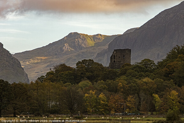 Dolbararn Castle set in Snowdonia National Park Picture Board by Jenny Hibbert