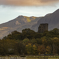 Buy canvas prints of Dolbararn Castle set in Snowdonia National Park by Jenny Hibbert
