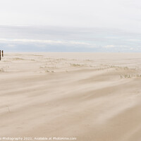 Buy canvas prints of Wadden Sea Wind and Beach by DiFigiano Photography