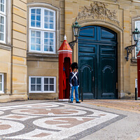 Buy canvas prints of Amalienborg Palace Guard by DiFigiano Photography