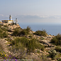 Buy canvas prints of Mesa de Roldan Lighthouse by DiFigiano Photography