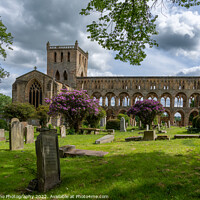 Buy canvas prints of Jedburgh Abbey by DiFigiano Photography