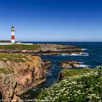 Buy canvas prints of Buchan Ness Lighthouse by DiFigiano Photography