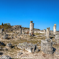 Buy canvas prints of Pobiti Kamani Stone Forest by DiFigiano Photography
