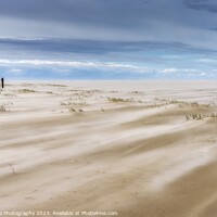 Buy canvas prints of Wadden Sea Wind by DiFigiano Photography