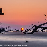 Buy canvas prints of Boneyard Beach Sunrise Panorama by DiFigiano Photography