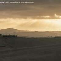 Buy canvas prints of Tuscan Earth by DiFigiano Photography