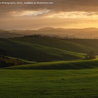 Buy canvas prints of Tuscan Sunrise by DiFigiano Photography