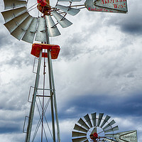 Buy canvas prints of Against The Wind by DiFigiano Photography