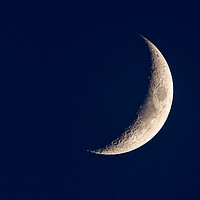 Buy canvas prints of Crescent Moon by DiFigiano Photography